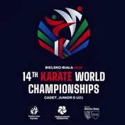 WKF-PUK WCH Image logo pixel 180